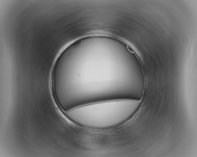 X0000112201387200908071234