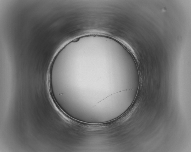 X0000112201391200908071234
