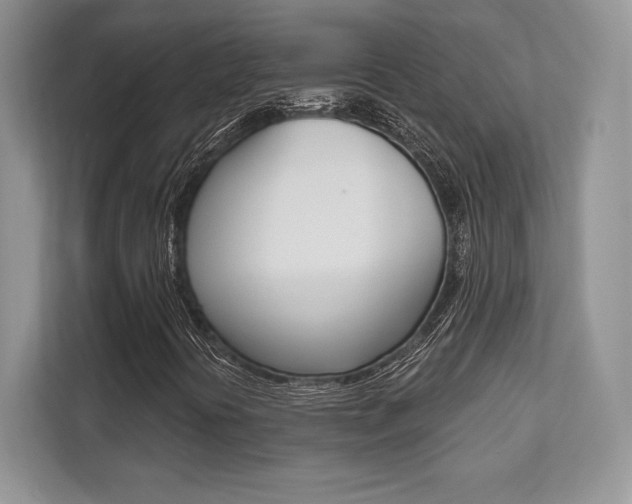 X0000112201394200908071233