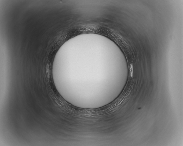 X0000112201395200908071233