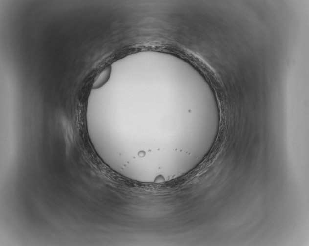 X0000112201399200908071233