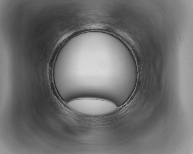 X0000112201404200908071233