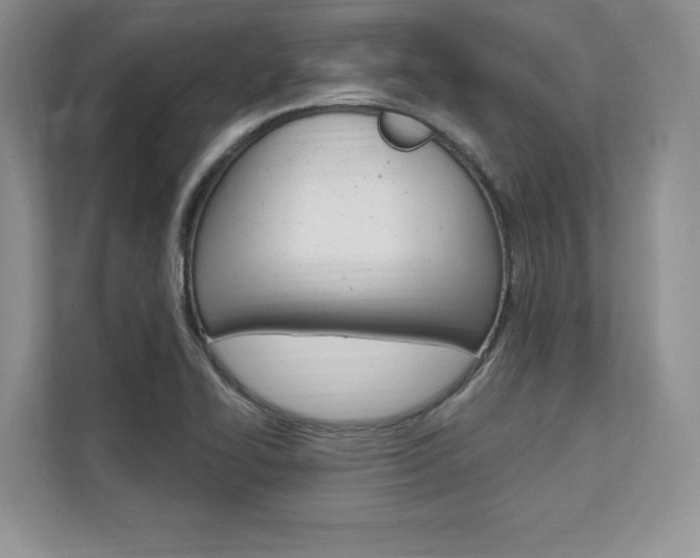 X0000112201414200908071234