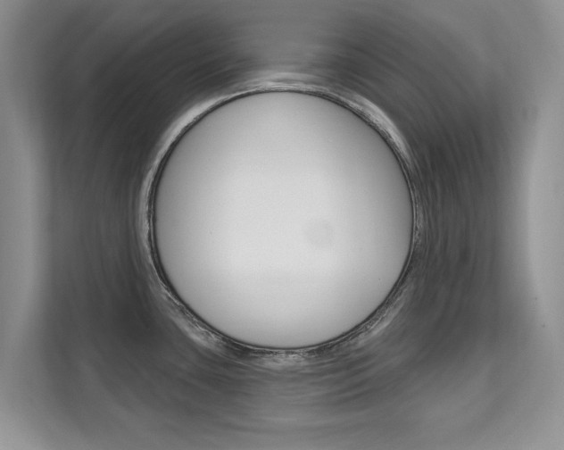 X0000112201435200908071234