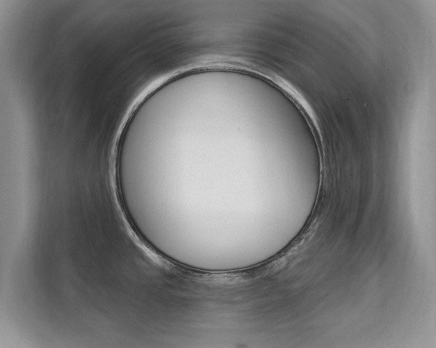 X0000112201437200908071234