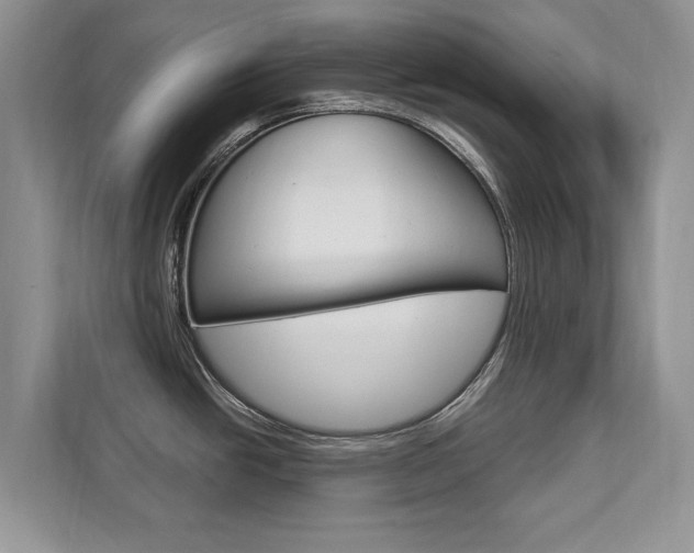 X0000112201438200908071234