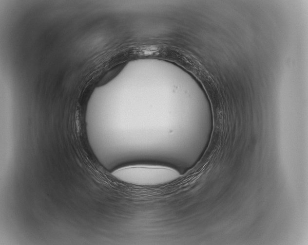 X0000112201442200908071233