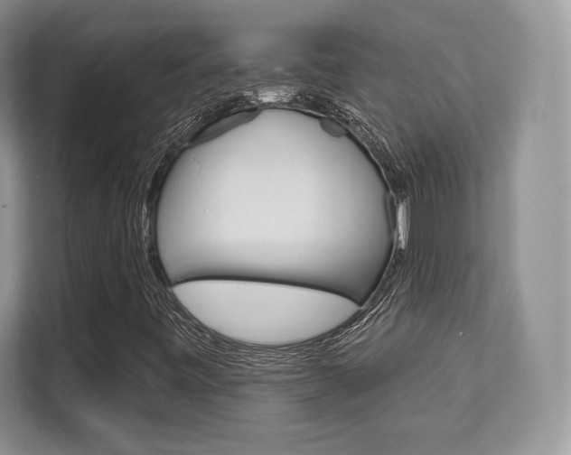 X0000112201443200908071233