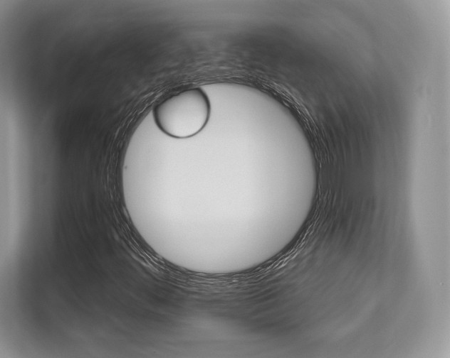 X0000112201444200908071233