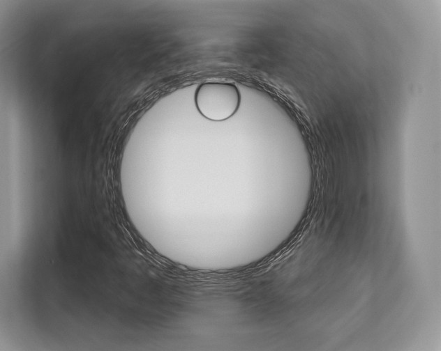 X0000112201445200908071233