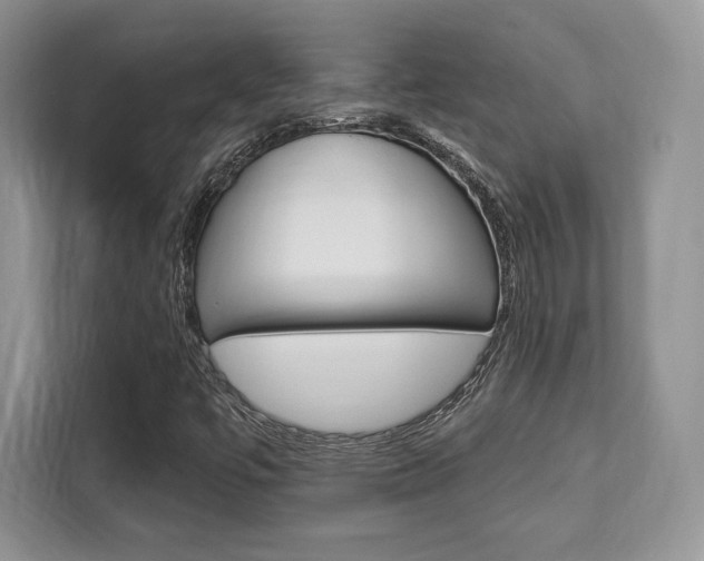 X0000112201447200908071233