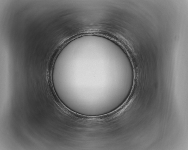 X0000112201449200908071233