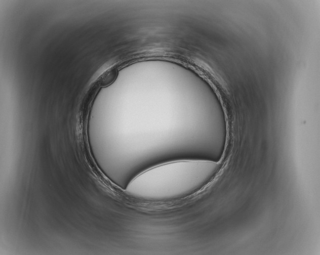 X0000112201450200908071233