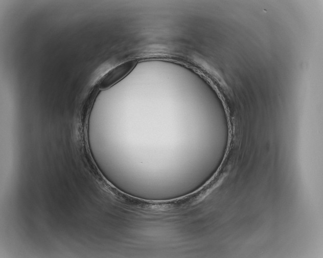 X0000112201453200908071233