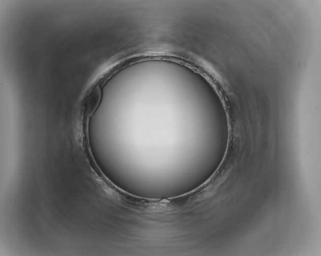 X0000112201456200908071233