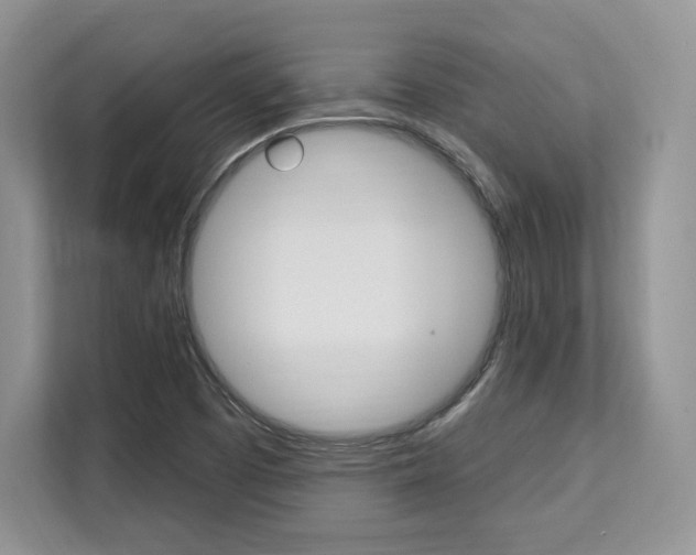 X0000112201457200908071233