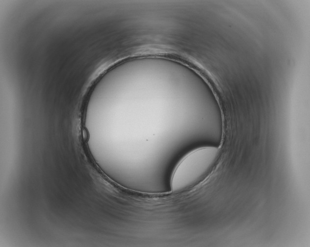 X0000112201459200908071233