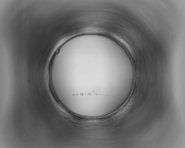 X0000112201467200908071233