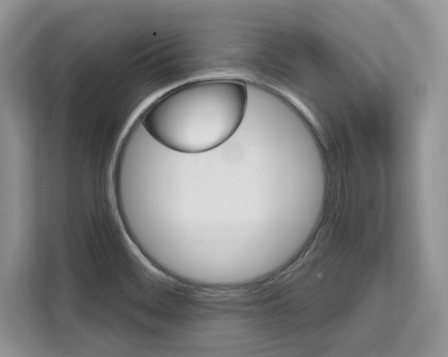 X0000112201468200908071233