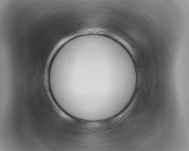 X0000112201470200908071233
