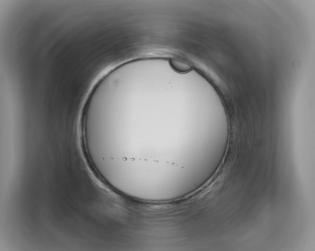 X0000112201471200908071233