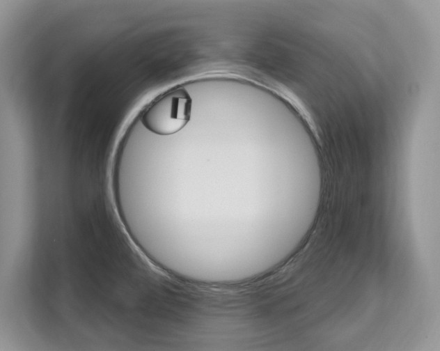 X0000112201472200908071233