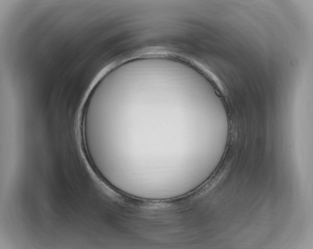X0000112201475200908071233