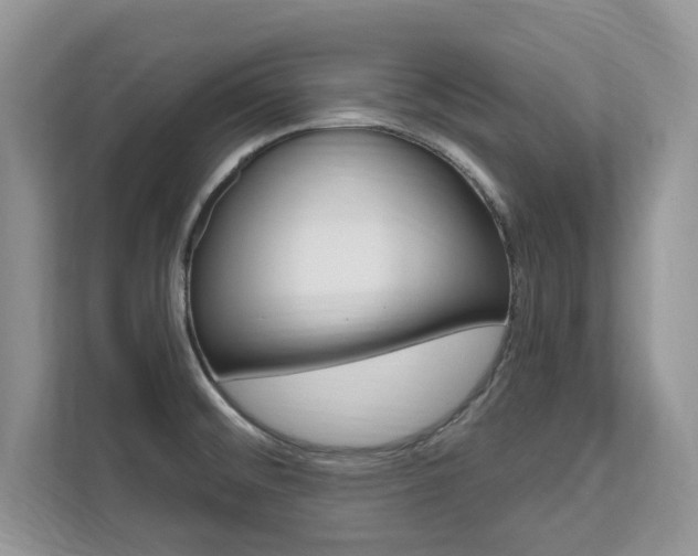 X0000112201476200908071233