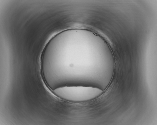 X0000112201479200908071233