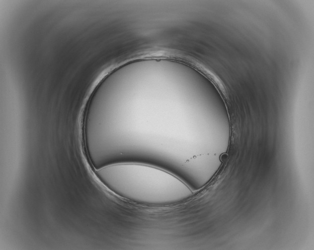 X0000112201483200908071233