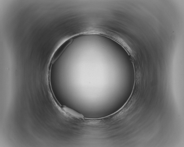 X0000112201484200908071233
