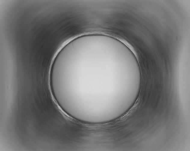 X0000112201485200908071233