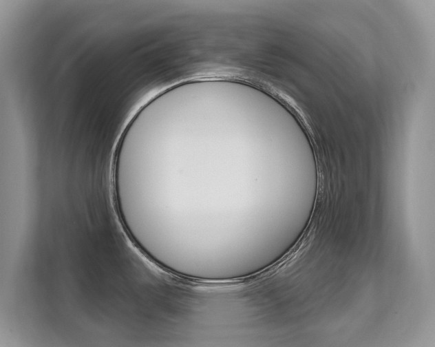 X0000112201487200908071233