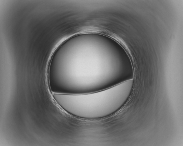 X0000112201488200908071233