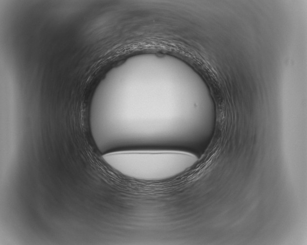 X0000112201490200908071232