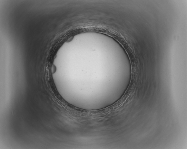 X0000112201493200908071232