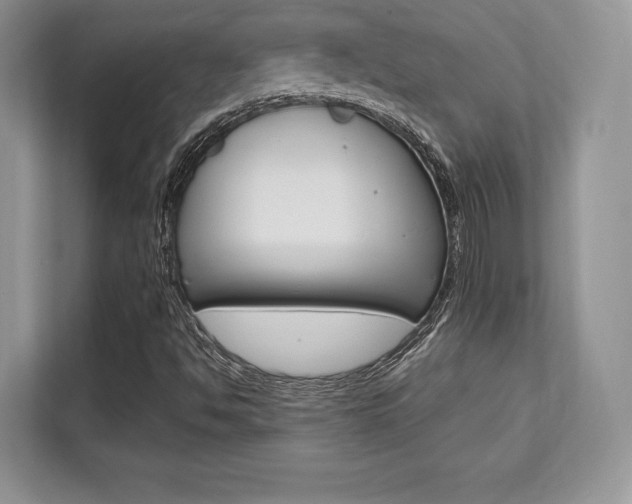 X0000112201494200908071232