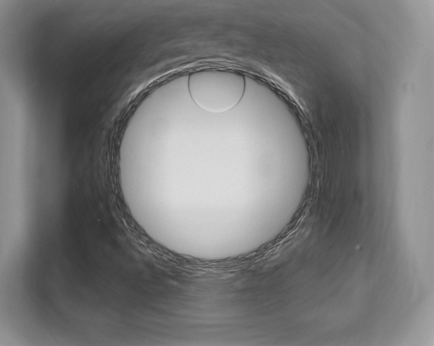 X0000112201496200908071232