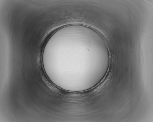 X0000112201499200908071232