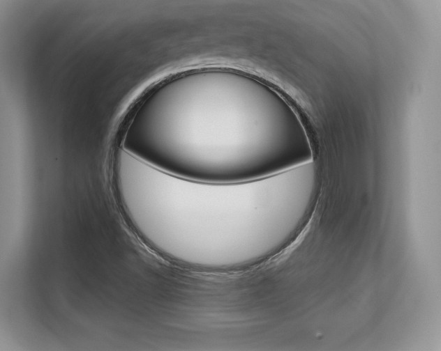 X0000112201502200908071232
