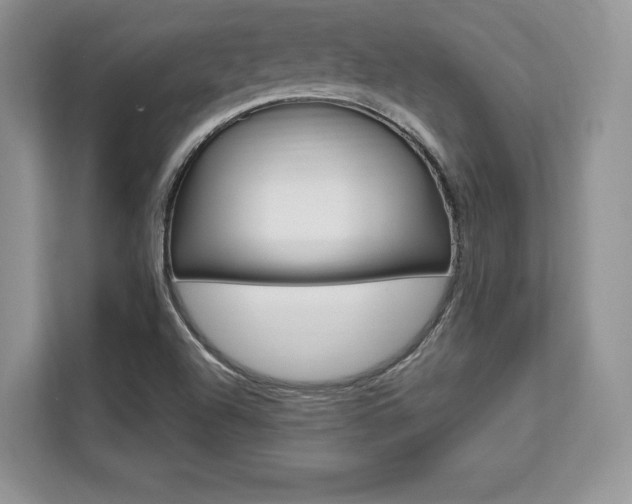 X0000112201504200908071232
