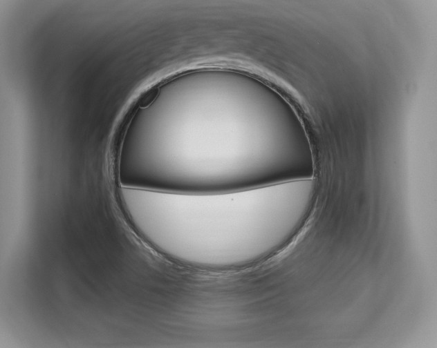 X0000112201506200908071232
