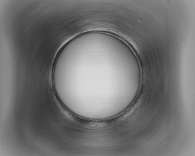 X0000112201513200908071232
