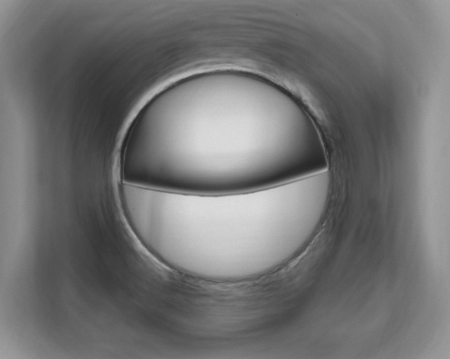X0000112201516200908071232