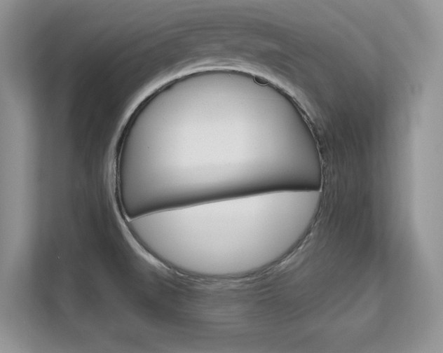 X0000112201519200908071232