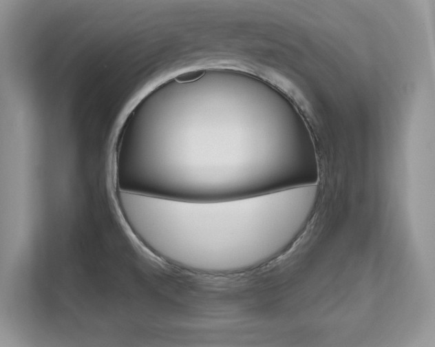 X0000112201520200908071232