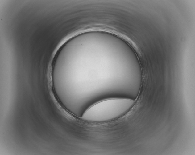 X0000112201522200908071232
