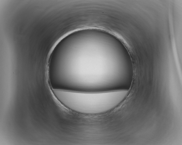 X0000112201524200908071232
