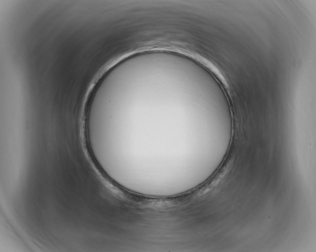 X0000112201525200908071232
