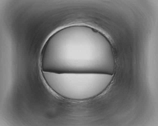 X0000112201526200908071232